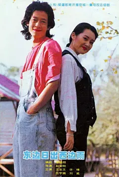 赵宝刚导演《东边日出西边雨 》