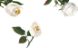 flowerlt.png (1521×938)天猫金妆奖 618天猫粉丝节 66大聚惠 66大促 年中大促 网页设计 活动页面 电商设计 美容化妆品 女装服饰 家电数码 生活电器 家装建材 母婴玩具 男装 箱包女鞋 珠宝首饰 天猫首页 淘宝设计 美工 美容护肤品 彩妆 首页装修设计 页面设计 活动页面 化妆品电商首页 电商设计 美容 美妆 彩妆护肤品 活动页面 电商首页 网页设计 店铺首页装修 天猫首页 淘宝设计 美工 活动主题页面设计@北坤人素材