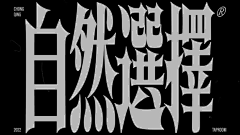 all111ssta采集到字体