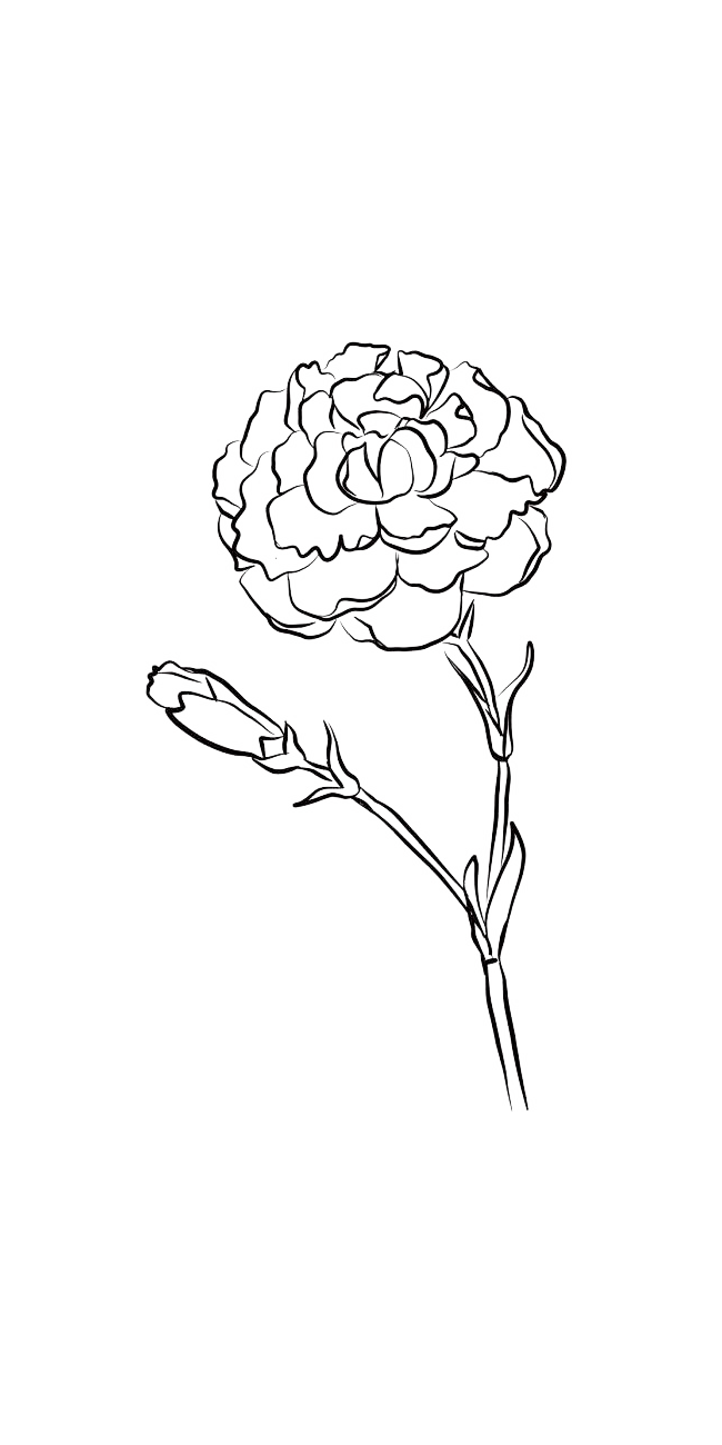线描