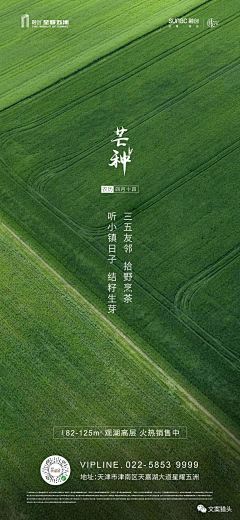 花犹诗织采集到节日海报