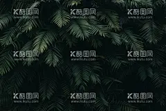 简约电脑壁纸  - 源文件下载【酷图网】高清壁纸,桌面壁纸,桌面背景,壁纸,很酷的壁纸,壁纸背景,很酷的桌面,高清背景,4k桌面,4k背景,树木,绿色,光,树叶
