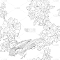 牡丹,枝,雉,传统,壁纸,动物,鸟类,韩国,花