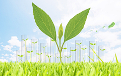 创意环保绿色叶子