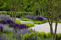 WATER MILL WOODS — LaGuardia Design Group