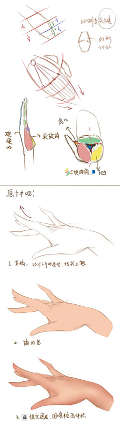 keavyl采集到学习区