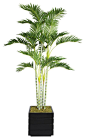 Features:  -No need to shop for a planter separately - comes complete with decorative planter.  -Artificial plants let you decorate without concern for water damage, trimming or soil.  -Palm tree.  Pr