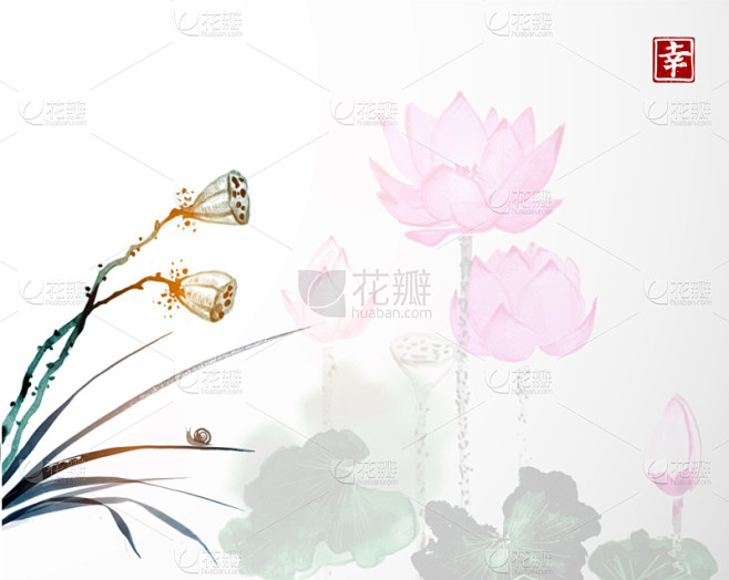 干的,动物头,莲子,荷花,分离着色,白色...