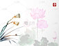 干的,动物头,莲子,荷花,分离着色,白色,创造力,自然,传统