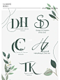 婚礼LOGO PH - 小红书搜索