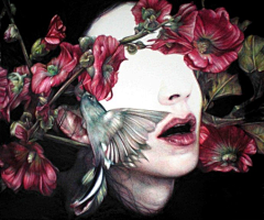 TRACY199331采集到Marco Mazzoni