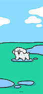 @线条小狗Maltese 的个人主页 - 微博