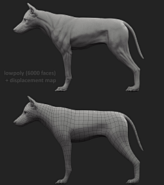 朴拾文化㊣啊馬采集到3D模型布线