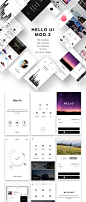 Products : Heeeeey, Hello UI Kit Mod. 2! This mobile UI Kit kit includes more than 160 unique screens, 700+ vectored custom UI elements for developers and iOS apps designers designed in Sketch. All the elements, blocks and galleries can easily be combined