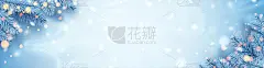结霜的蓝色云杉树枝框架。