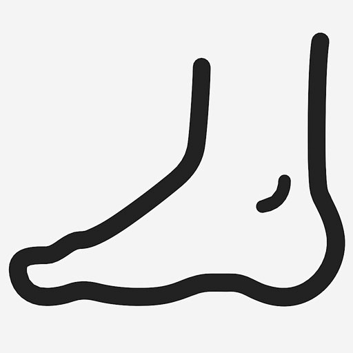 脚脚踝脚跟图标_88ICON https://88icon.com 脚 脚踝 脚跟 人 腿 四肢 脚趾 面部身体-花瓣网