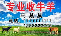 收牛羊名片 牛羊图片  - 源文件下载【酷图网】牛羊图片,动物图片,蓝天图片,牛羊名片,收牛羊图片,牛奶名片,销售牛奶图片,牛羊海报,牛羊宣传海报,牛羊写真,