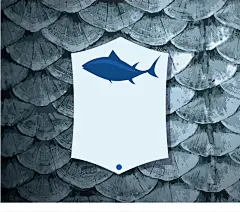 鱼鳞质感海报鱼类背景矢量图平面广告 页面网页 平面电商 创意素材