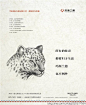 #广告分享# 故事的最后——玛斯兰德2015年收官推广提报，所有的传奇都将归于生活！（via 地产壹线）