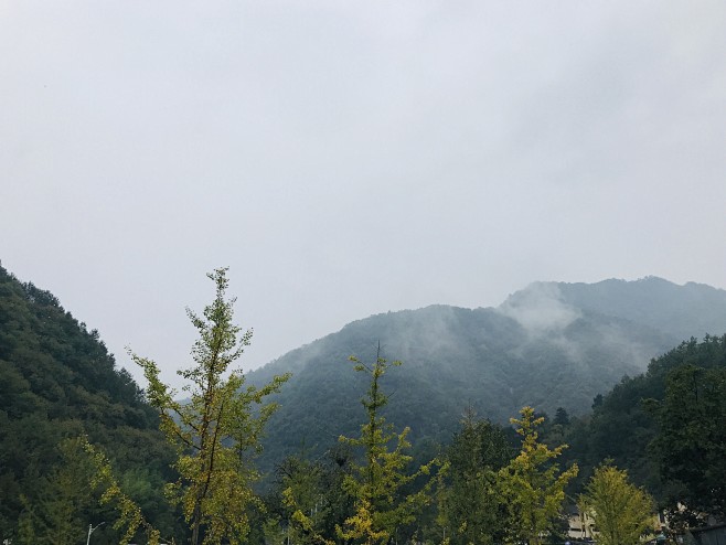 把大山颜色穿身上  再来一颗山中香梨