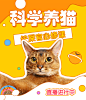 科学养猫宠物视频号直播封面