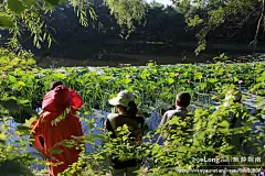 龙沙公园的清晨，让我记住了齐齐哈尔的美丽, 冰城馨子旅游攻略