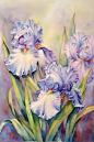 英国画家Marianne Broome插画作品 – 六月蜂网