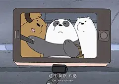 自嘲熊电脑壁纸