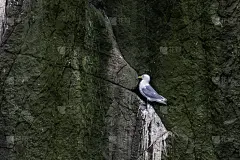法恩群岛