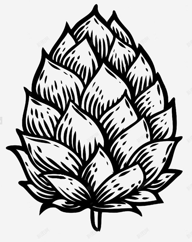 啤酒花手绘PNS透明底