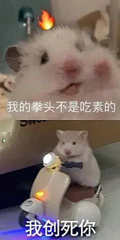 鼠鼠表情包