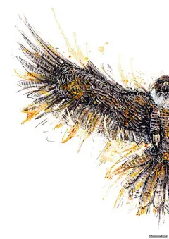 NIKE野性耐克动物插画 [38P] (8).jpg