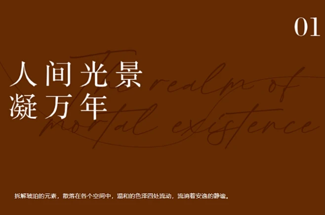 SNP设计丨琥珀里的鎏金岁月-花瓣网