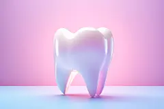 洁白牙齿人体医疗牙医口腔牙齿模型