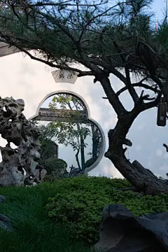 石上松间坐与眠，何处觅神仙 | 松江宸院 : 北方的院落中最具代表的就是北京的四合院，四面有房屋，将庭院景观围合在中间。四合院形象在很多影视作品中都有很直观的体现，哈尔滨同在北方，院式格调也与北京四合院形制相似，但内里各有千秋。