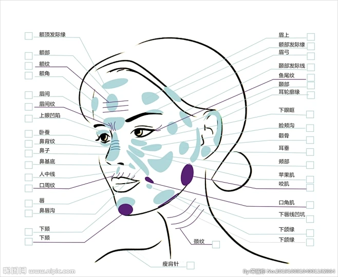 面部结构的搜索结果_360图片-花瓣网