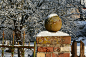 tree-branch-snow-winter-fence-post-snowy-garden-wintry-freezing-winter-impressions-garden-fence-1373787.jpg (6000×4000)