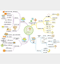 小学英语思维导图82张 版本二（通儒公考圈精制-免费共享） : 在现在这个信息大爆炸的时代，快速汲取、整合知识，深入思考并运用，是每个人都应该拥有的能力。「思维导图」可以成倍提高学习速度和效率，孩子一旦掌握了这种思维工具，将终身受益。为了让更多孩子们能掌握更简单…