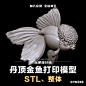 淡水鱼类丹顶金鱼STL三维模型3D打印圆雕图纸C4D动物手办建模参考-淘宝网