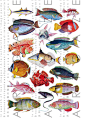 18 FAB Exotic TROPICAL FISHES. Fishes Digital Collage Sheet. image 0