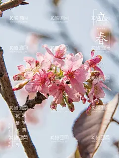 立春  - 源文件下载【酷图网】立春,春暖花开,春暖花开海报,春暖花开促销,春暖花开背景,春天,春天海报,春季,春季海报,暖春,暖春海报,春季新品上市,春天来了,春潮,春姿绽放,24节气,春季促销,春季气氛,春季装饰,春季装修,开春,早春,春韵,春游,立春插画,春季特惠,绿色春天,踏青,春,春暖花开设计,唯美春天,春装,春天背景,