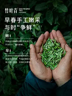 竹叶青2023年新茶峨眉高山早春绿茶明前采摘特级(品味)自饮装45g-tmall.com天猫