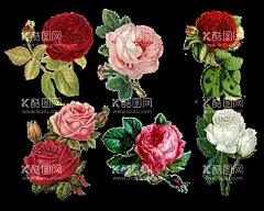 鲜花插画  - 源文件下载【酷图网】绘画,画画,手绘,卡通,插画,动漫,商业,素材,海报,包装,壁纸,元素,设计,创意,展板,背景,购物,促销,活动,鲜花,花卉,鲜艳,艳丽,花环,