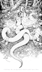 《Snake spirit》