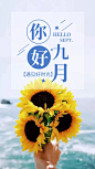 八月再见，九月你好！ : 8月再见，9月你好~