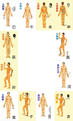 绿柚般的小小心情采集到经络