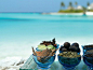 36116:马尔代夫库达呼拉岛 Four Seasons Resort 四季假日酒店美丽海景 - 图喜欢-image.cn图你喜欢，就是要图你喜欢！图片分享社区
