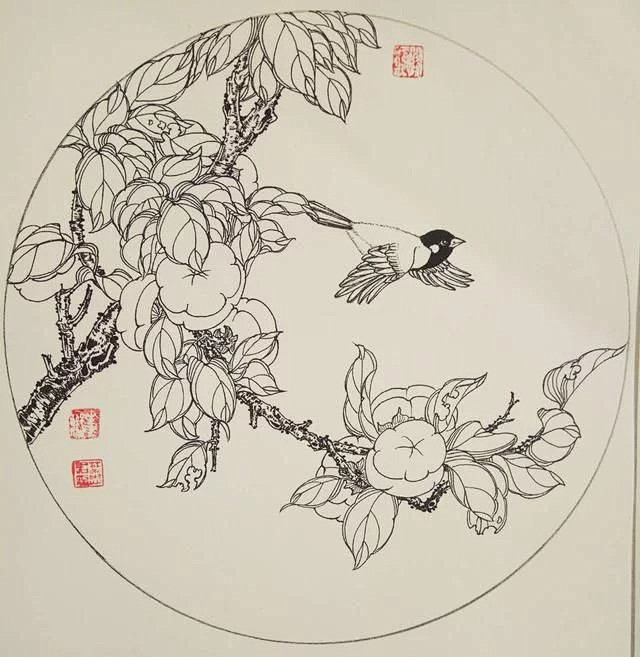 钢笔花卉白描达人叶志军先生的钢笔画分享