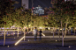 悉尼达令港公共空间，澳大利亚 / HASSELL : 让城市拥抱自然