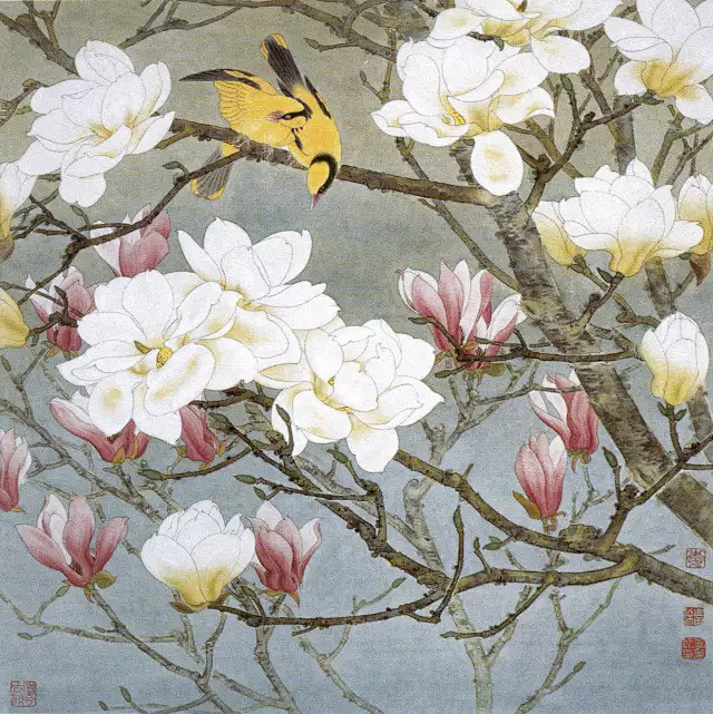 李善杰工笔画玉兰欣赏黄莺知春